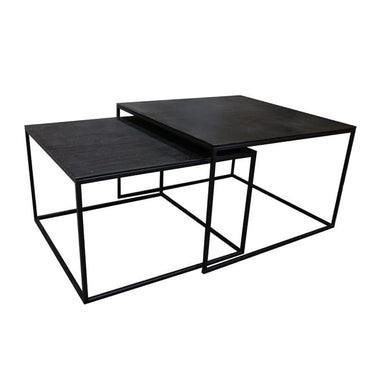 Tonto Coffee Table Set/2 at online8 furniture store Auckland