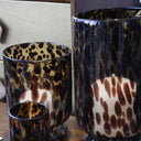 Tortoiseshell Hurricane -Large at online8 furniture store Auckland