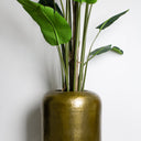 Vienna Aluminum Side Table - Matte Gold at Online8 Furniture Auckland NZ
