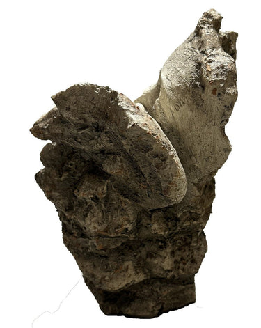 Vintage Kissing Heads - Antique Marble at online8 furniture store Auckland