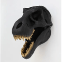 Wall Hanging Tyrannosaurus Rex Skull - 30cm at online8 furniture store Auckland