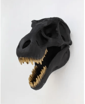 Wall Hanging Tyrannosaurus Rex Skull - 30cm at online8 furniture store Auckland