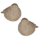 Warblers Set of 2 at online8 furniture store Auckland