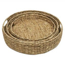 Water Hyacinch set/3 Trays Round at online8 furniture store Auckland