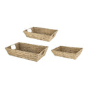 Water Hyacinth Tray Set of 3 at online8 furniture store Auckland