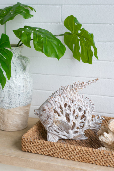 White Coral Look Angel Fish at online8 furniture store Auckland