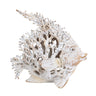 White Coral Look Angel Fish at online8 furniture store Auckland