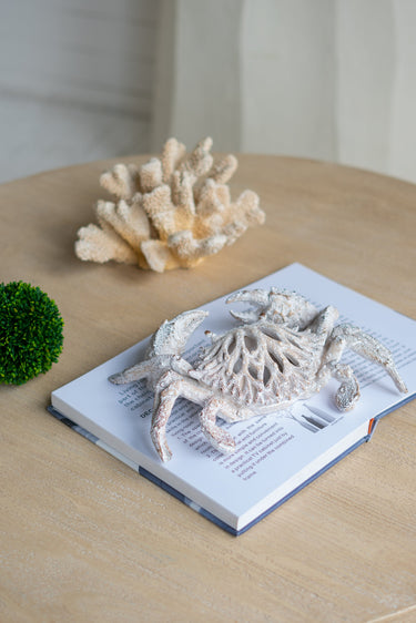 White Coral Look Crab - Ornament at online8 furniture store Auckland