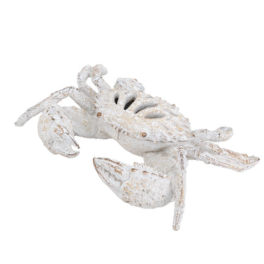 White Coral Look Crab - Ornament at online8 furniture store Auckland