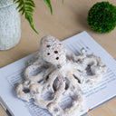 White Coral Look Octopus - Ornament at online8 furniture store Auckland