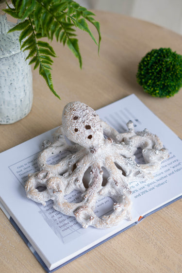 White Coral Look Octopus - Ornament at online8 furniture store Auckland