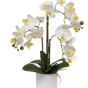 White Pot Phalaenopsis Orchid - 47cm at online8 furniture store Auckland