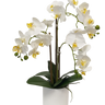 White Pot Phalaenopsis Orchid - 47cm at online8 furniture store Auckland