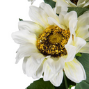 White Sunflower Stems 9 Heads at online8 furniture store Auckland