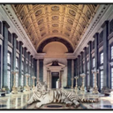 White Tiger Canvas Wall Art at online8 furniture store Auckland