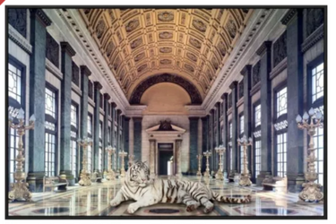 White Tiger Canvas Wall Art at online8 furniture store Auckland