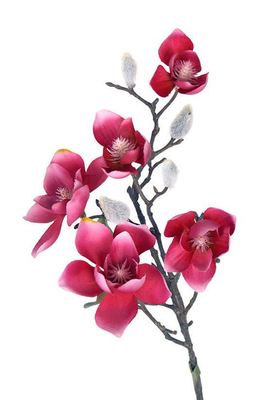 Wild Magnolia Spray 66cm Pink at online8 furniture store Auckland
