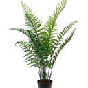 Woodwardia Bush Potted - 84cm Faux Plant at online8 furniture store Auckland