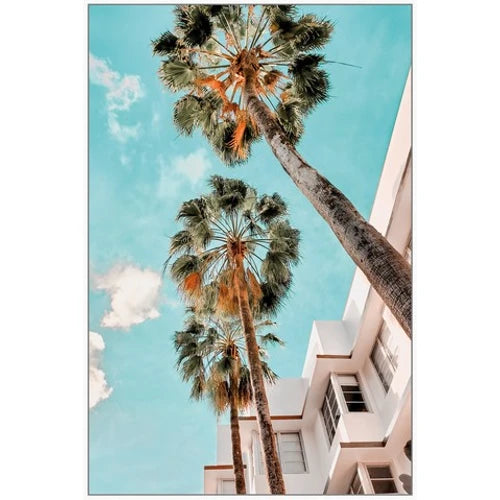 Framed Canvas Art - Miami Palms