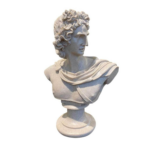 Greek David Venus Bust