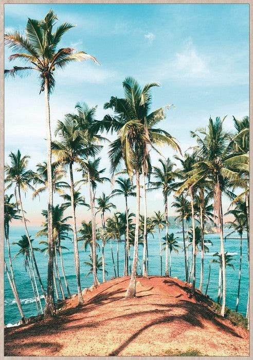 Framed Canvas Art - Palm Beach