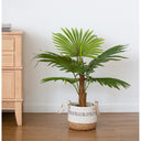 Artificial Plant - Fern at online8 furniture store Auckland