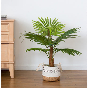 Artificial Plant - Fern at online8 furniture store Auckland