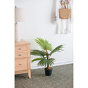Artificial Plant - Fern at online8 furniture store Auckland