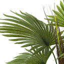 Artificial Plant - Fern at online8 furniture store Auckland