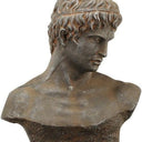 Atticus Bust Indoor/Outdoor at online8 furniture store Auckland