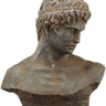 Atticus Bust Indoor/Outdoor at online8 furniture store Auckland
