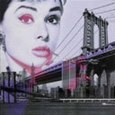 Audrey at online8 furniture store Auckland