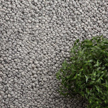 Avrel Cement Rug at online8 furniture store Auckland