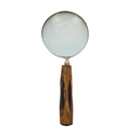 Brass Magnifier Horn Variegated Col Handle at online8 furniture store Auckland