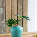 Ceramic Vase - Medium at online8 furniture store Auckland