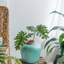 Ceramic Vase - Medium at online8 furniture store Auckland