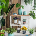 Ceramic Vase - Small at Online8 Furniture Auckland NZ
