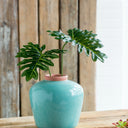 Ceramic Vase - Small at Online8 Furniture Auckland NZ