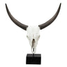 Decorative Resin Cow Skull at online8 furniture store Auckland