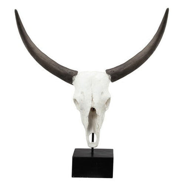 Decorative Resin Cow Skull at online8 furniture store Auckland