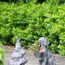 Dog Planter at online8 furniture store Auckland