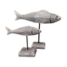 Fish on Stand Set/2 at online8 furniture store Auckland