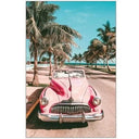 Framed Canvas Art - Classic Pink at online8 furniture store Auckland