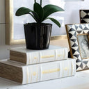 French Tradition Book Boxes at online8 furniture store Auckland