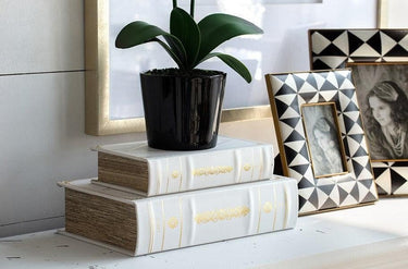 French Tradition Book Boxes at online8 furniture store Auckland
