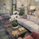 Hamptons Reclaimed Elm Wood Coffee Table at online8 furniture store Auckland