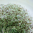 Handmade Glass Vase at online8 furniture store Auckland