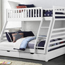 Harper Bunk Bed with Two Mattress at online8 furniture store Auckland