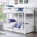 Harriet Bunk Bed with Two Bottom Drawers at online8 furniture store Auckland