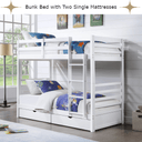 Harriet Bunk Bed with Two Single Mattress - White at Online8 Furniture Auckland NZ